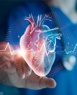 Cardiovascular Health Near Me in Fredericksburg, VA